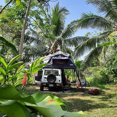 La Munequita Lodge 1 - Culture & Nature Experience Palmar Norte Exterior foto