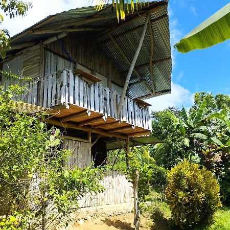 La Munequita Lodge 1 - Culture & Nature Experience Palmar Norte Exterior foto
