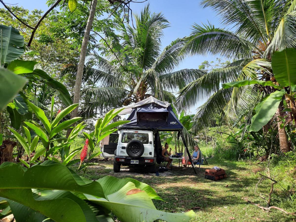 La Munequita Lodge 1 - Culture & Nature Experience Palmar Norte Exterior foto