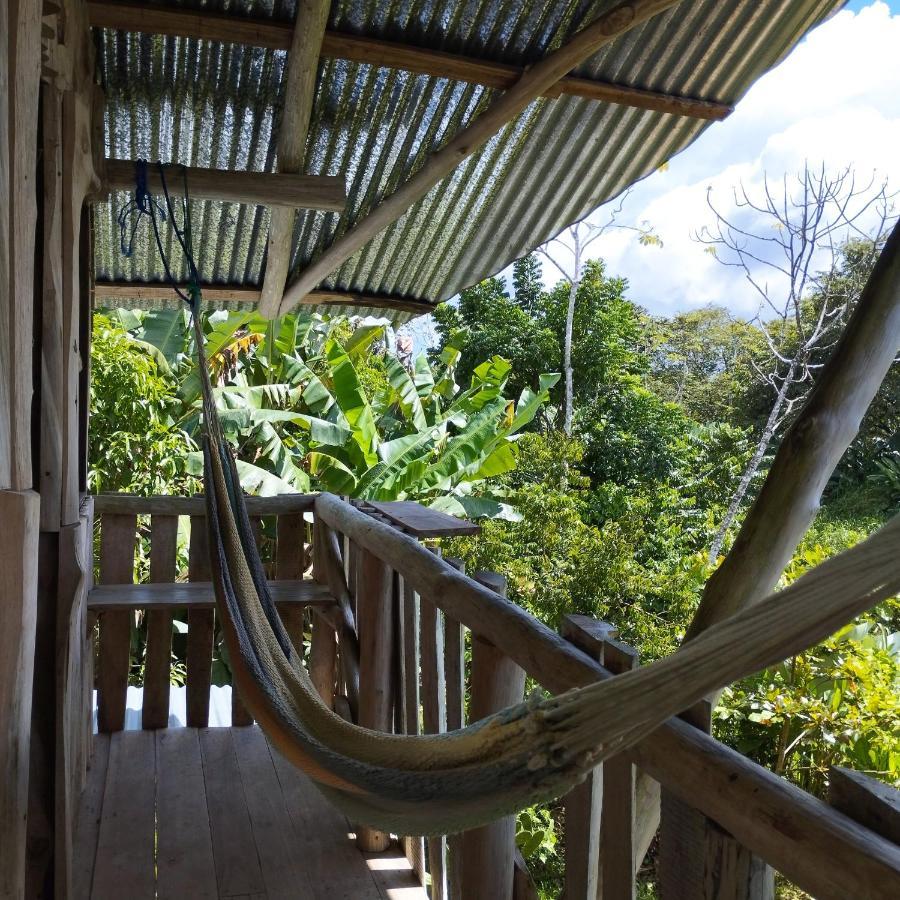 La Munequita Lodge 1 - Culture & Nature Experience Palmar Norte Exterior foto