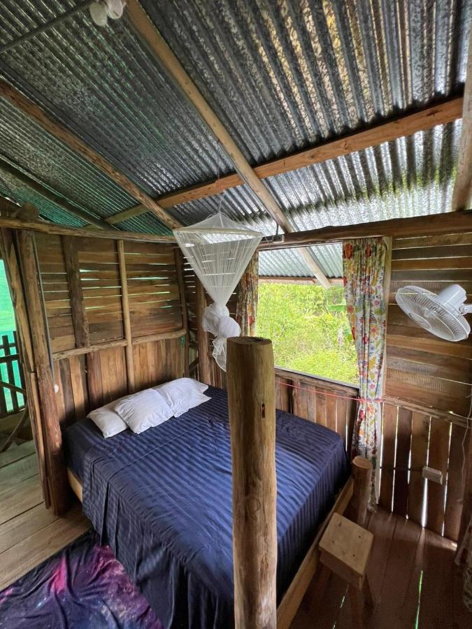 La Munequita Lodge 1 - Culture & Nature Experience Palmar Norte Exterior foto